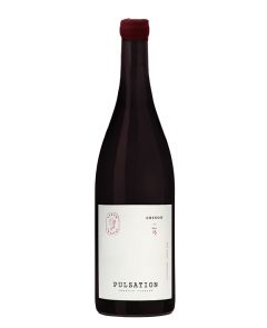 Pulsation - Chinon 2023 BIO