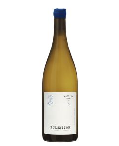 Pulsation - Menetou Salon Blanc 2023 BIO