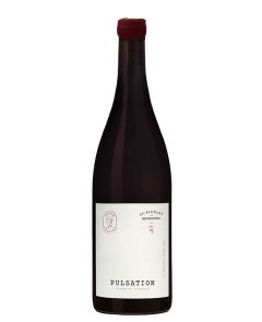 Pulsation - St Nicolas de Bourgueil 2023 BIO