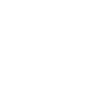 VENTE - Château de la Mulonnière